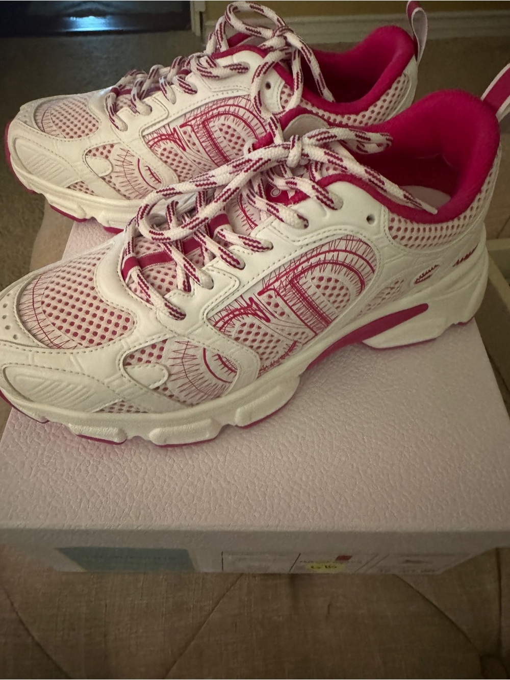 Christian Dior Sneakers